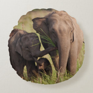 Indian Asian Elephant Family in the Savannah Round Pillow