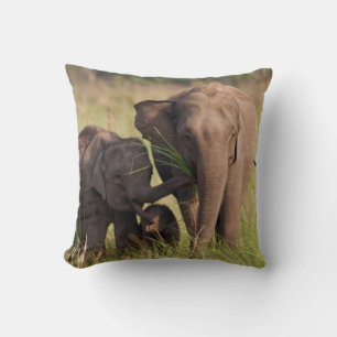 Indian Asian Elephant Family in the Savannah Throw Pillow