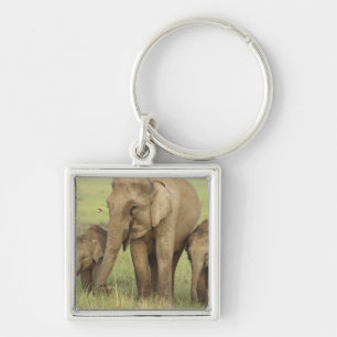 Indian Asian Elephant & Young Ones Keychain