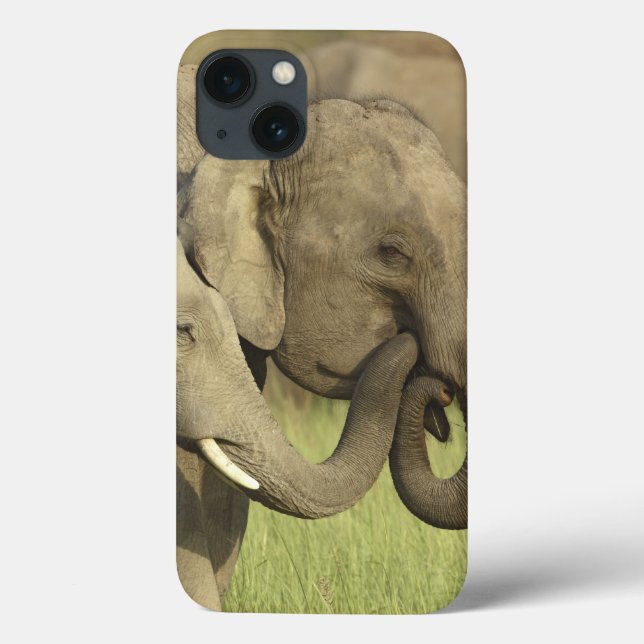 Indian Asian Elephants Case-Mate iPhone Case (Back)