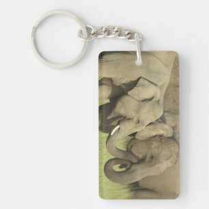 Indian Asian Elephants Keychain