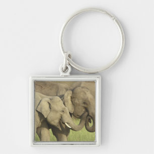 Indian Asian Elephants Keychain