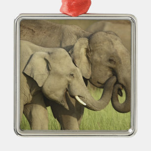 Indian Asian Elephants Metal Ornament