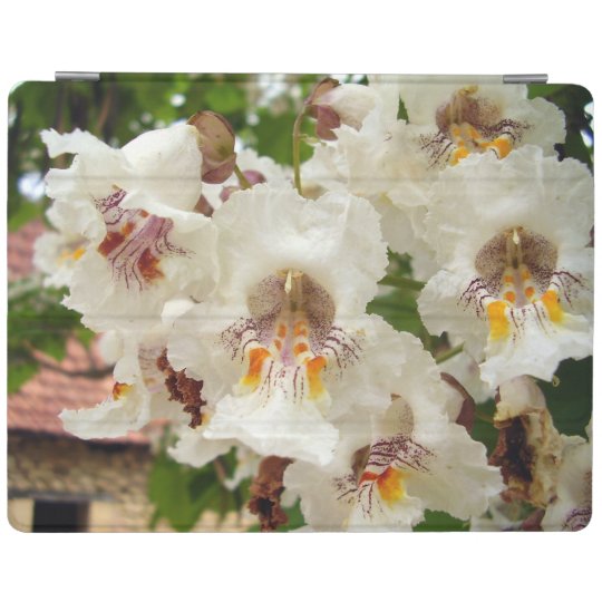 Indian Bean Tree Flowers iPad Cover