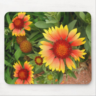 Indian Blanket Mouse Pad