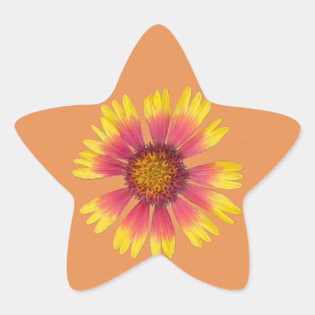 Indian Blanket Star Sticker (Front)