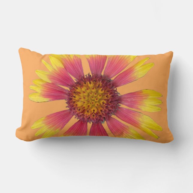 Indian Blanket Throw Pillow (Front)