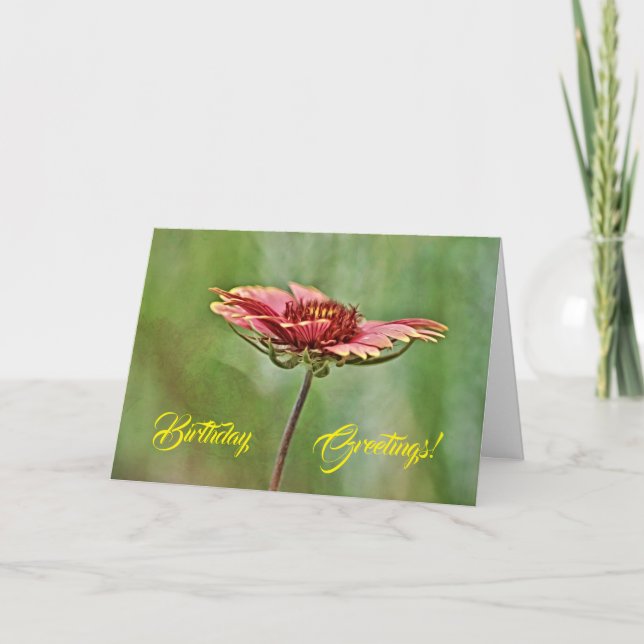 Indian Blanket Wildflower Birthday Card (Front)