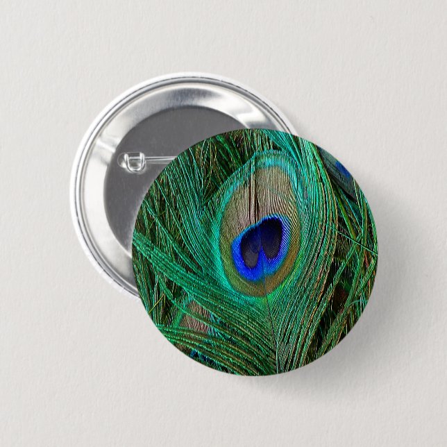 Indian Blue Peacock Feather 2 Inch Round Button (Front & Back)