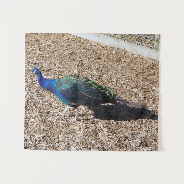 Indian Blue Peafowl tapestry (Front (Horizontal))