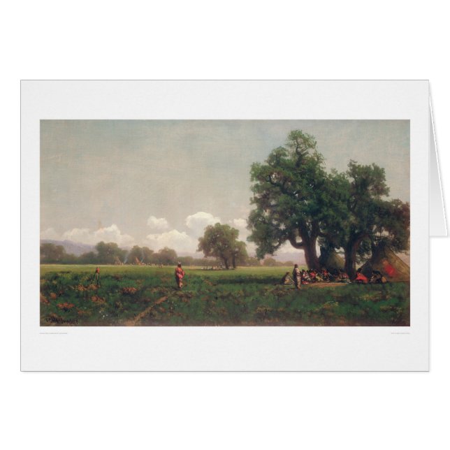 Indian Camps (0716A) (Front Horizontal)