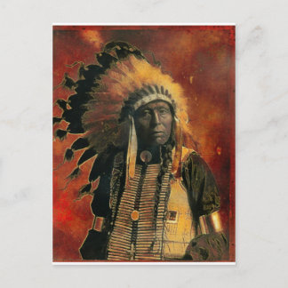 Indian_Chief Postcard