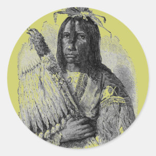 Indian Chief Sticker
