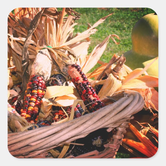 Indian Corn In Wicker Basket Nature Square Sticker (Front)