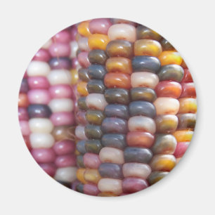 Indian Corn Magnet