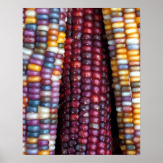 Indian Corn Print by Kim Rowlett