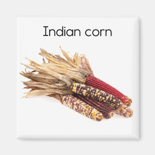 Indian Corn Refrigerator Magnet