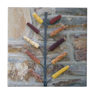 Indian Corn Tile