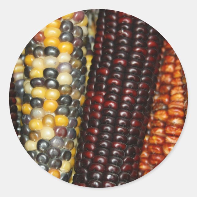 Indian Corn Variety Stickers (Front)