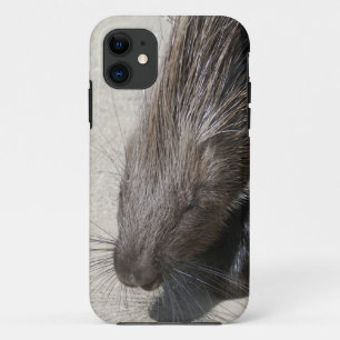 Indian Crested Porcupine iPhone 11 Case