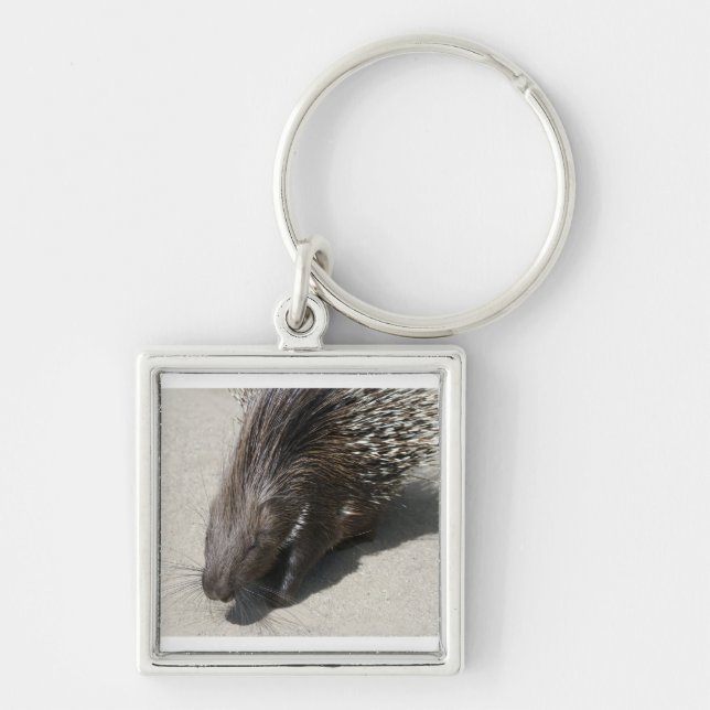 Indian Crested Porcupine Keychain (Front)