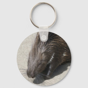 Indian Crested Porcupine Keychain