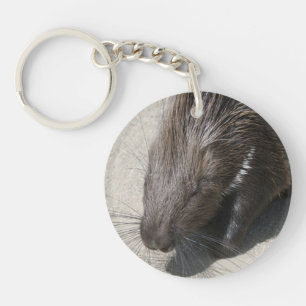 Indian Crested Porcupine Keychain