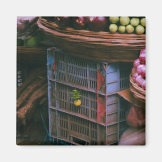 Indian Desi market Nimbu-Mirchi  Magnet