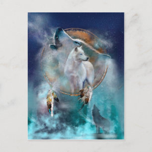 Indian dreamcatcher and ethnic tribal head wolf postcard