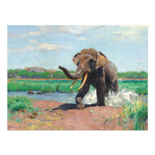 Indian Elephant at a Waterhole by Wilhelm Kuhnert Photo Print