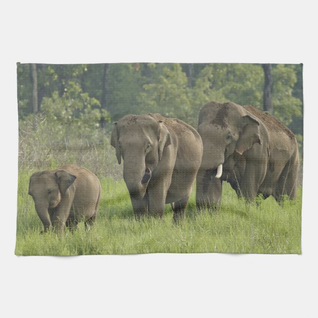 Indian Elephant Family Kitchen Towel (Horizontal)