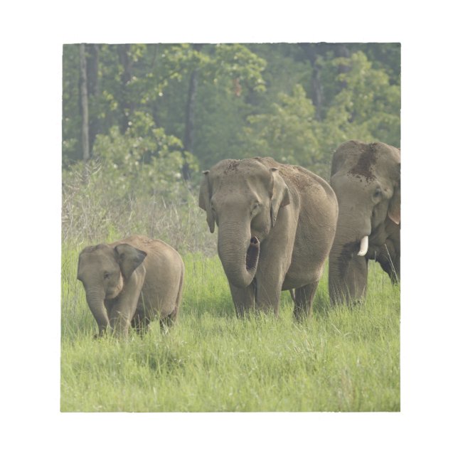 Indian Elephant Family Notepad (Front)