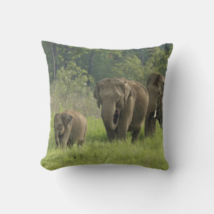 Indian Elephant Family Throw Pillow