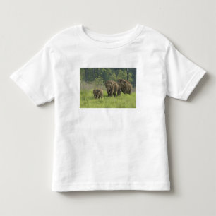 Indian Elephant Family Toddler T-shirt