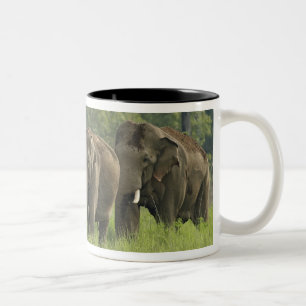 Indian Elephant Family Two-Tone Coffee Mug