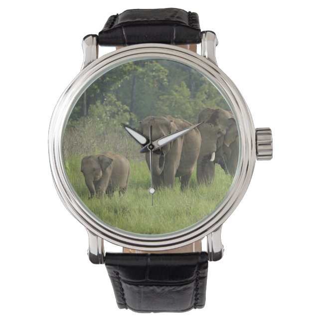 Indian Elephant Family Watch (Front)