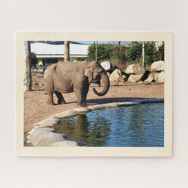 Indian elephant jigsaw puzzle (Horizontal)