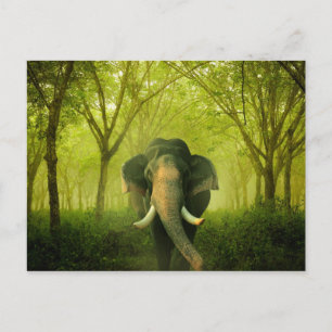 Indian Elephant Stunning Large Mammal Green Forest Postcard