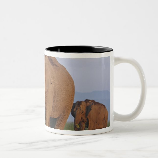Indian Elephants in the Grassland Two-Tone Coffee Mug (Right)