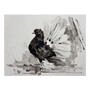 Indian Fantail Pigeon Eyeliner Hen Poster
