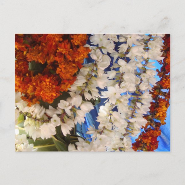 Indian Flower garlands Postcard (Front)