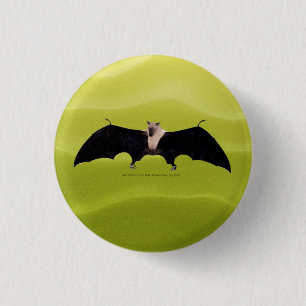 Indian Fruit Bat 1 Inch Round Button