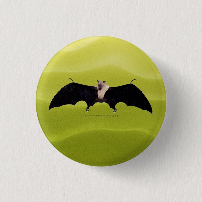 Indian Fruit Bat 1 Inch Round Button (Front)