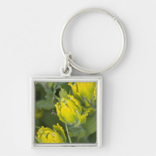 Indian Golden Paintbrush Castilleja Keychain