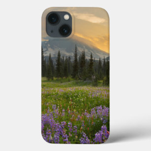 Indian Henry's Hunting Ground at sunrise iPhone 13 Case
