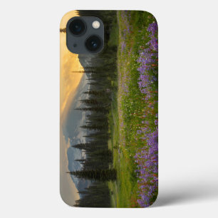 Indian Henry's Hunting Ground at sunrise iPhone 13 Case