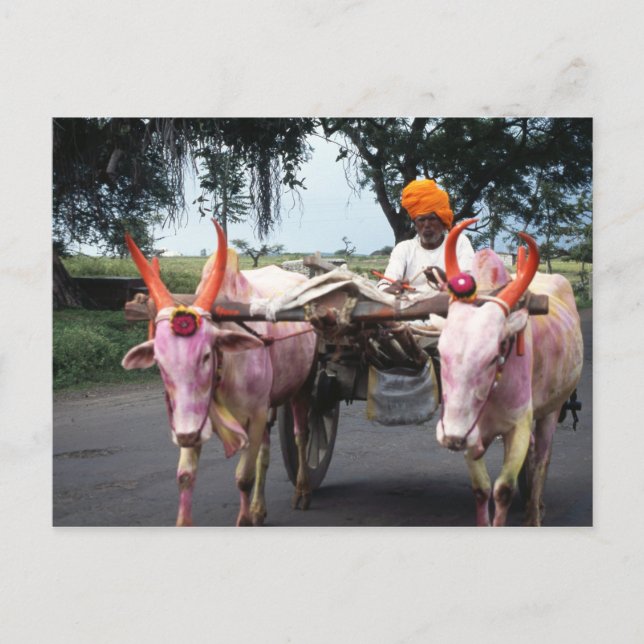 Indian Man Postcard (Front)