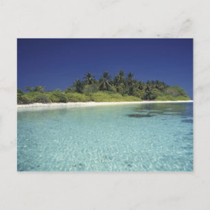 Indian Ocean, Maldive islands. (MR) Postcard