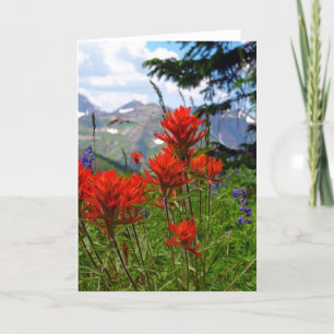 Indian Paint Brush Card
