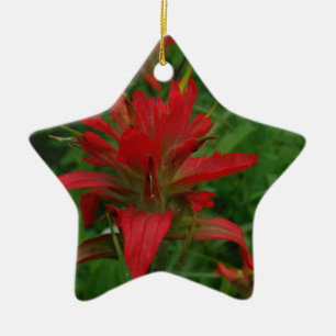 Indian paint brush ceramic ornament